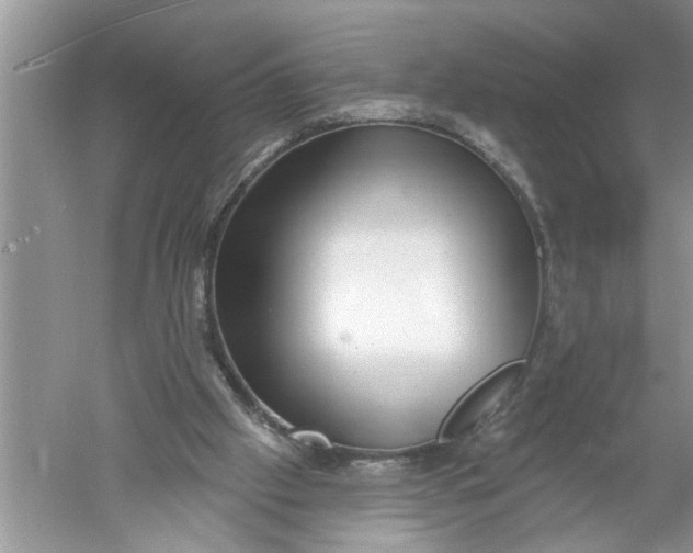 X0000052570057200507152303