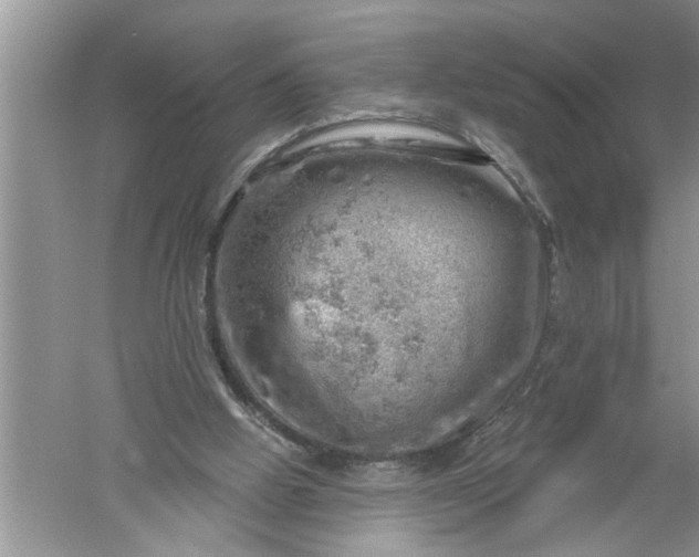 X0000052570058200507152303