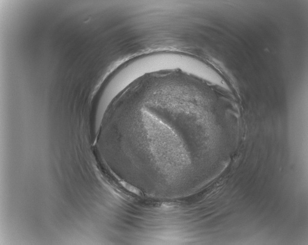 X0000052570060200507152303