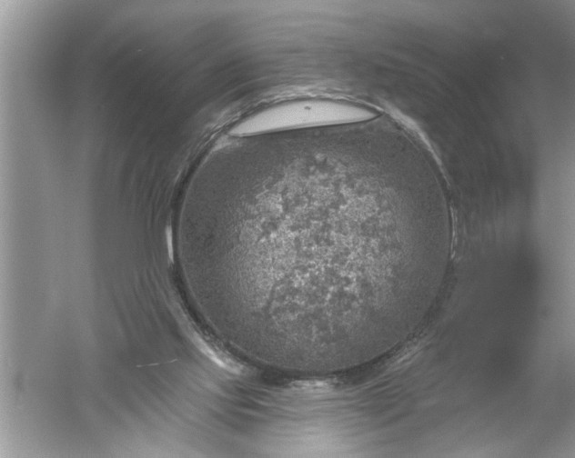 X0000052570061200507152303