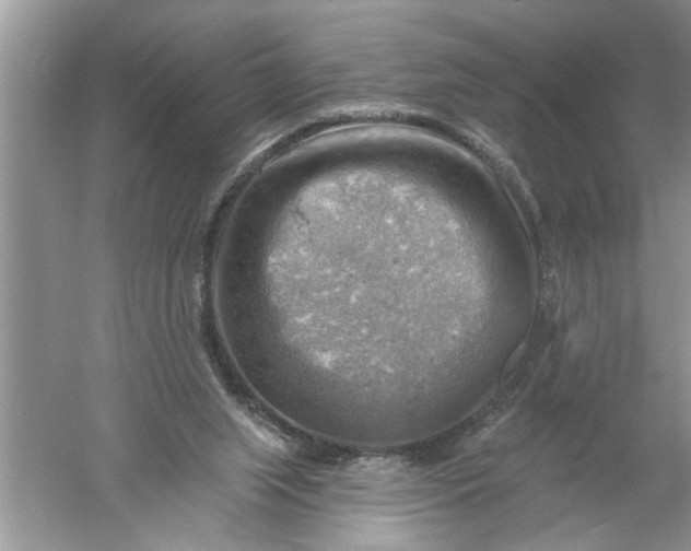 X0000052570063200507152303