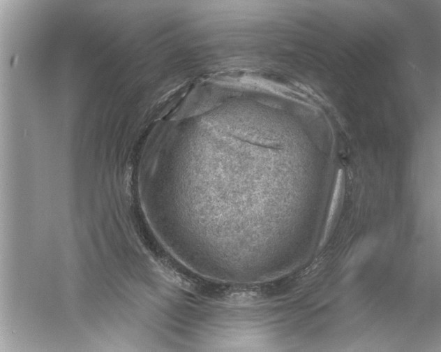 X0000052570066200507152303