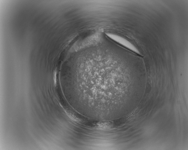 X0000052570070200507152303