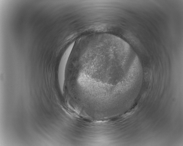 X0000052570072200507152303