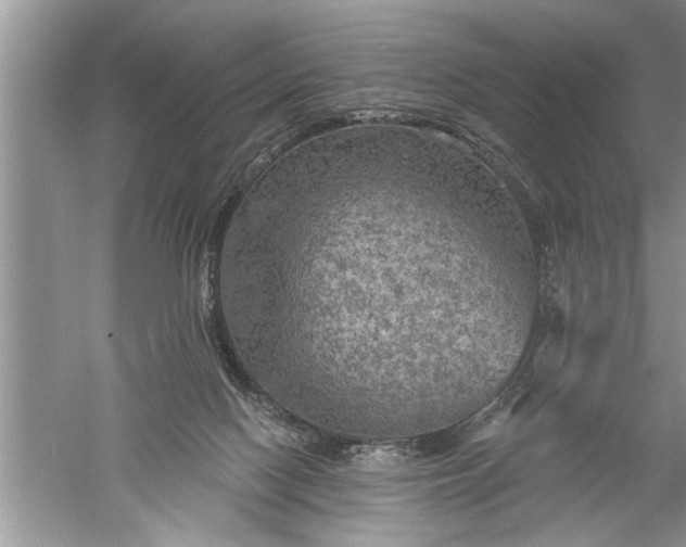 X0000052570074200507152303