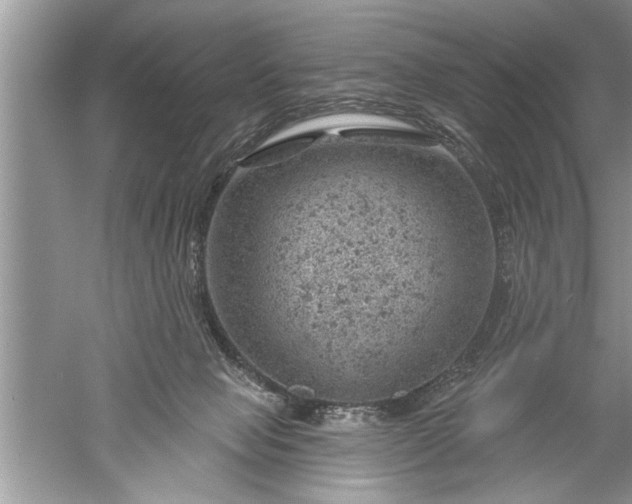 X0000052570077200507152303