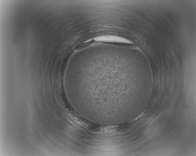 X0000052570078200507152303