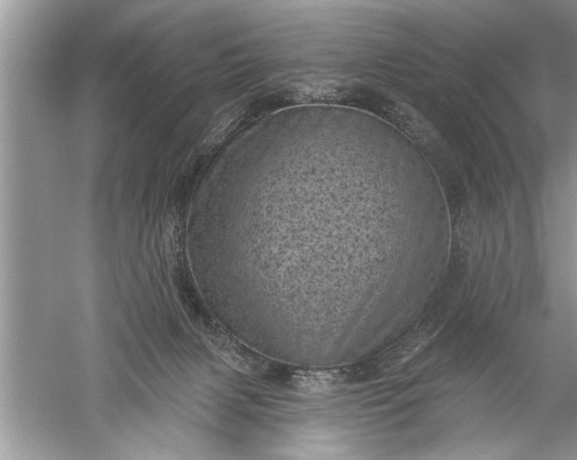 X0000052570079200507152303