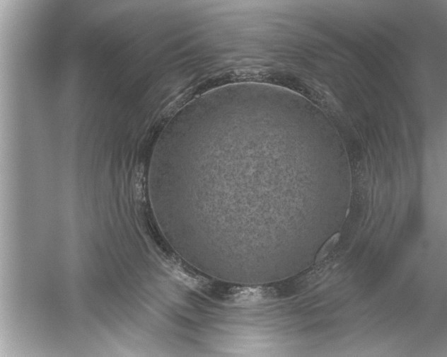 X0000052570083200507152303