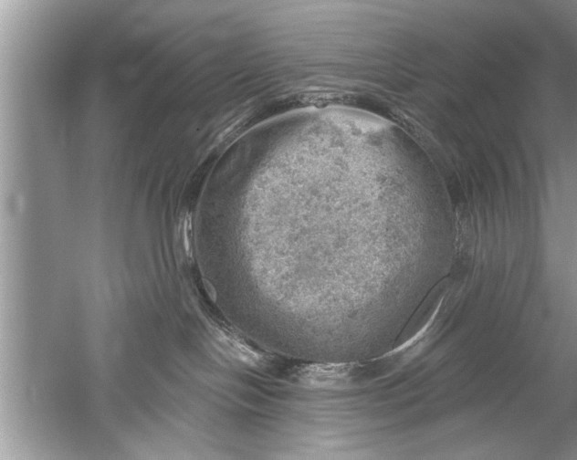 X0000052570094200507152303