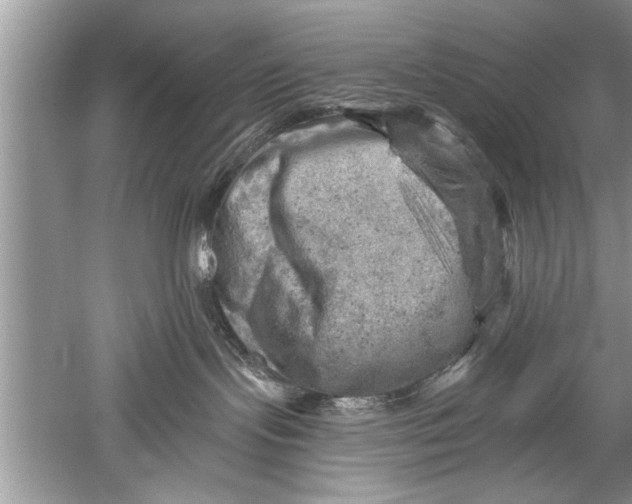 X0000052570095200507152303