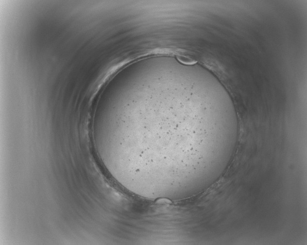 X0000052570098200507152303