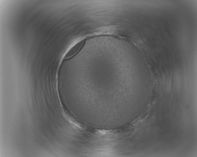 X0000052570100200507152303