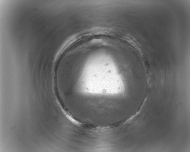 X0000052570101200507152302