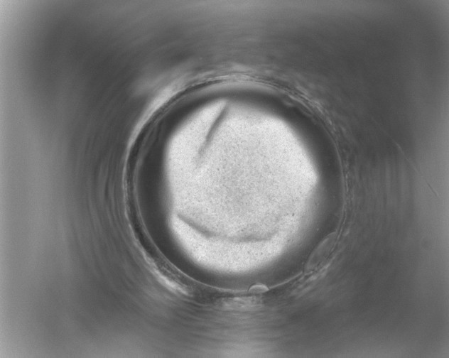 X0000052570102200507152302