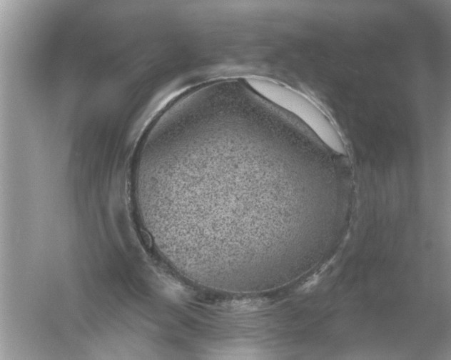 X0000052570103200507152302