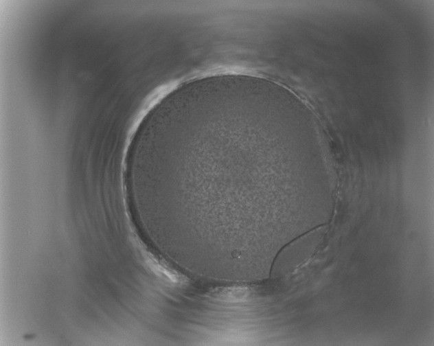 X0000052570104200507152302