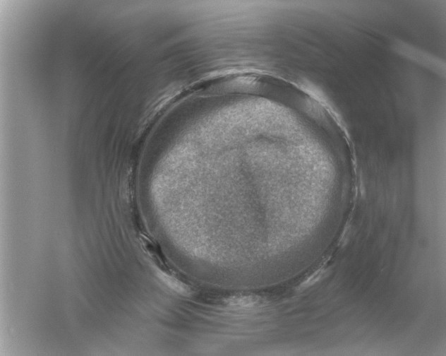 X0000052570105200507152302