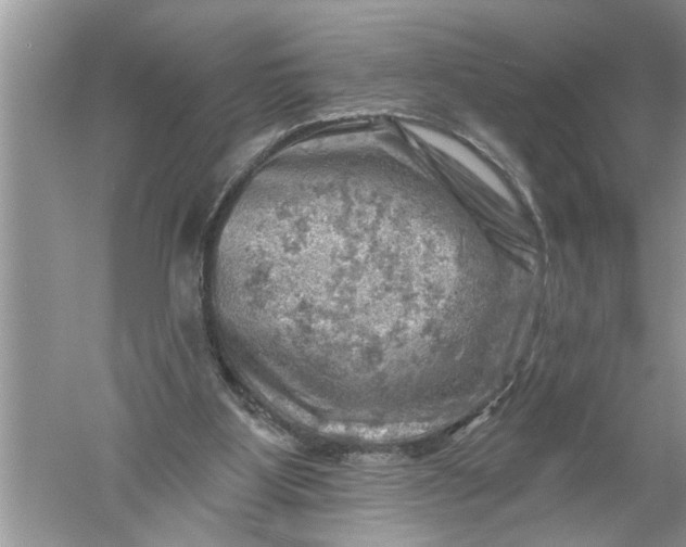 X0000052570107200507152302