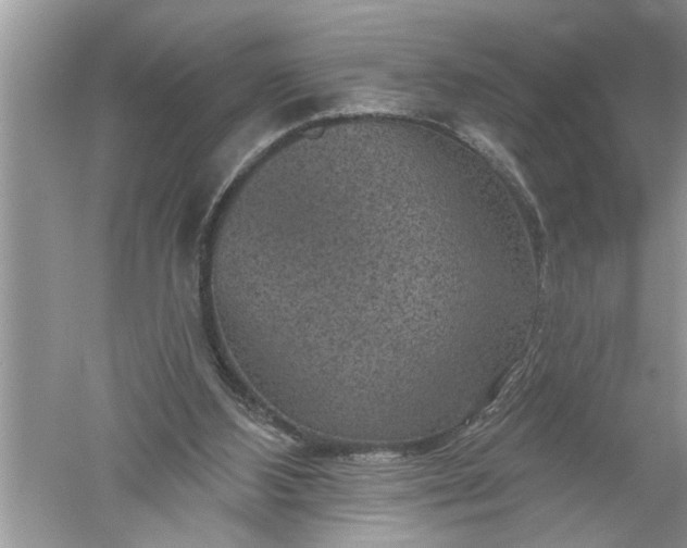 X0000052570108200507152302