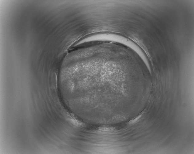 X0000052570109200507152302