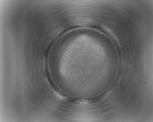 X0000052570113200507152302