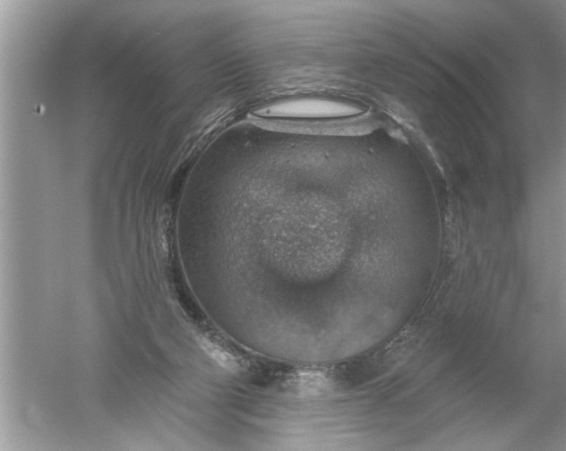 X0000052570114200507152302