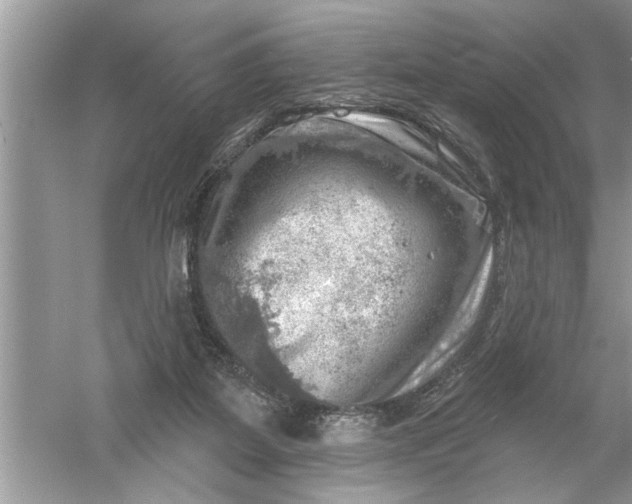 X0000052570115200507152302