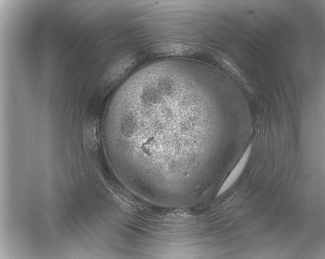 X0000052570119200507152302