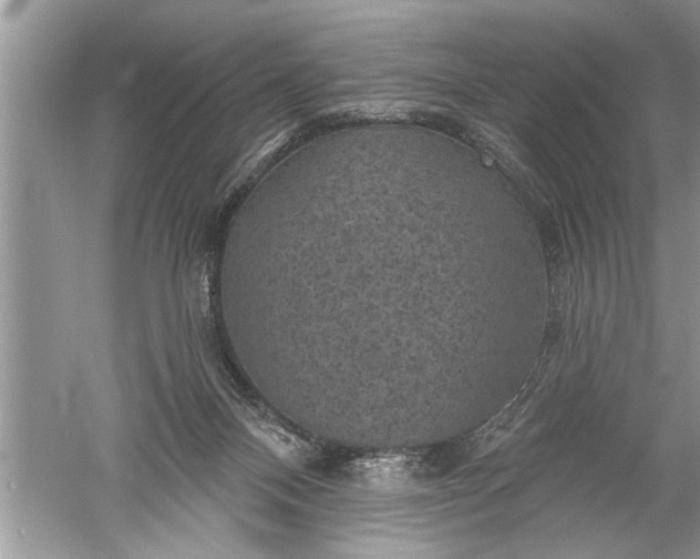 X0000052570120200507152302