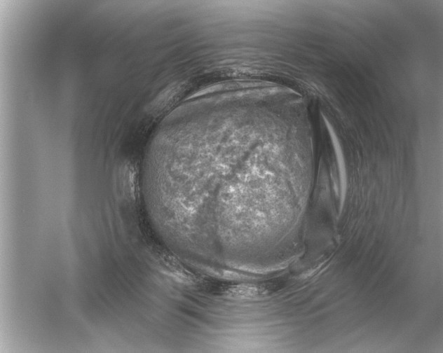 X0000052570123200507152302