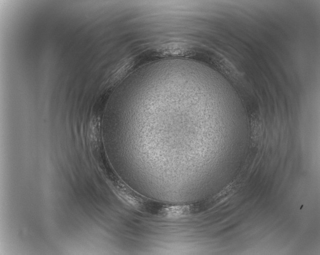 X0000052570126200507152302