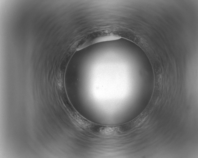 X0000052570129200507152302