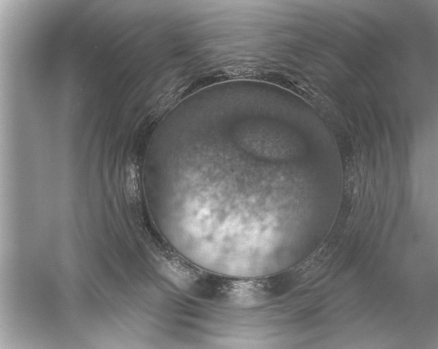 X0000052570130200507152302