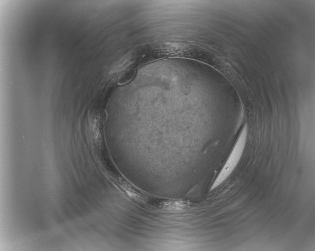 X0000052570131200507152302