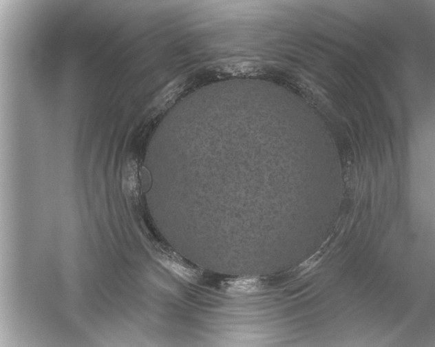 X0000052570132200507152302