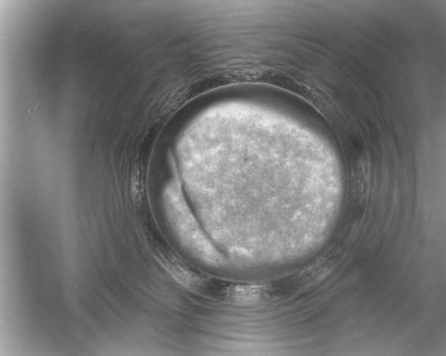 X0000052570134200507152302