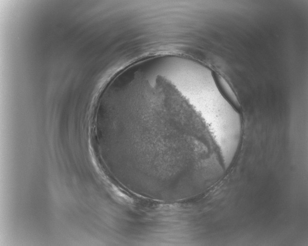 X0000052570145200507152301