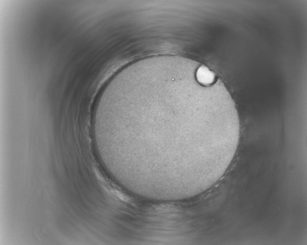 X0000052570146200507152301