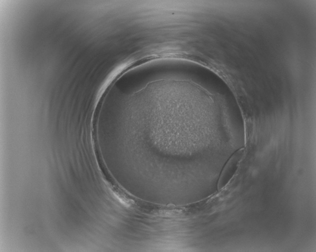 X0000052570147200507152301