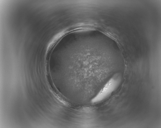 X0000052570149200507152301