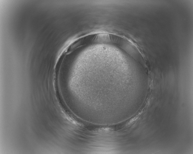 X0000052570152200507152301