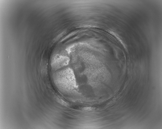 X0000052570153200507152301