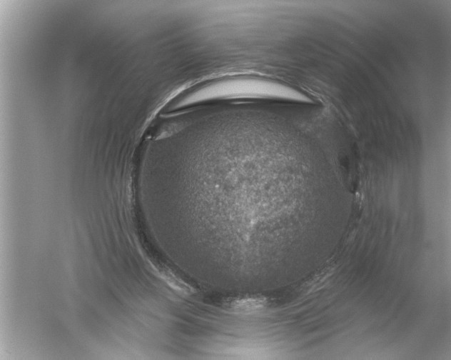 X0000052570156200507152301