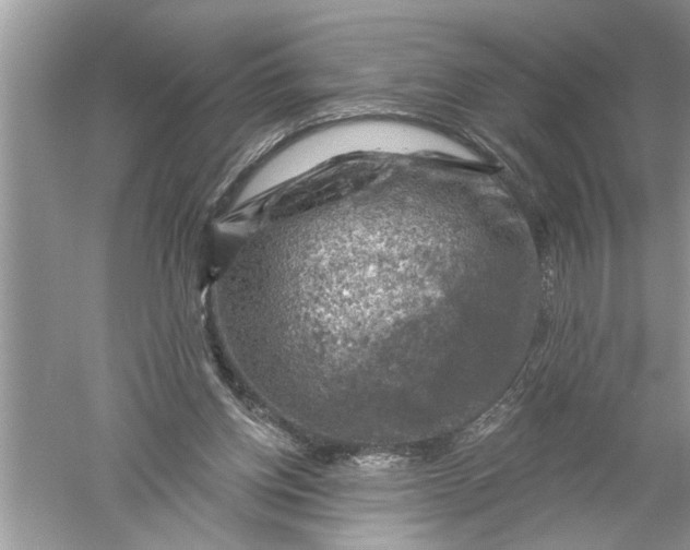 X0000052570158200507152301