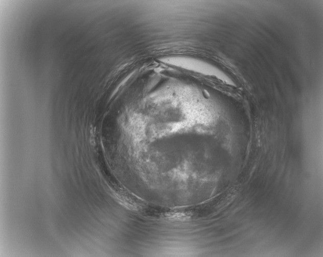 X0000052570161200507152301