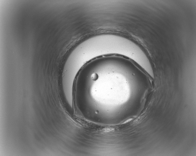 X0000052570162200507152301