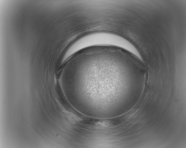 X0000052570164200507152301