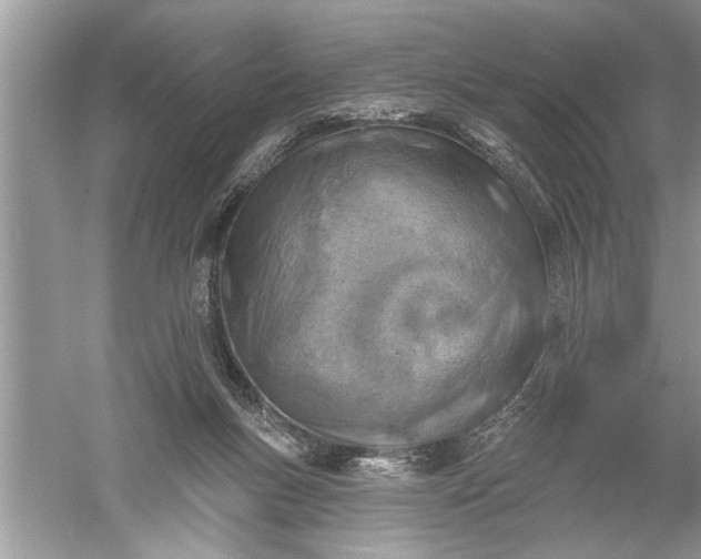 X0000052570167200507152301