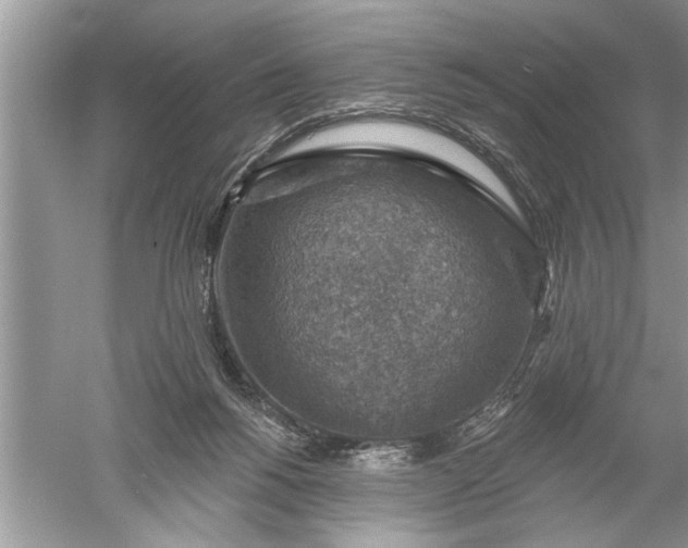 X0000052570168200507152301